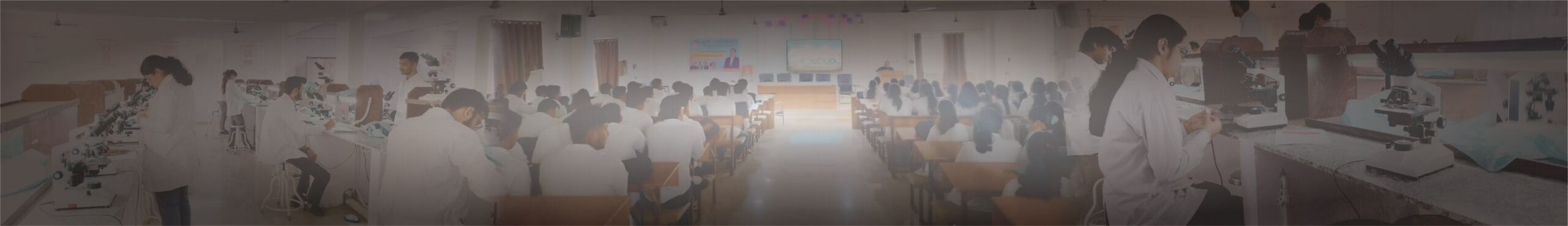 Banner Background
